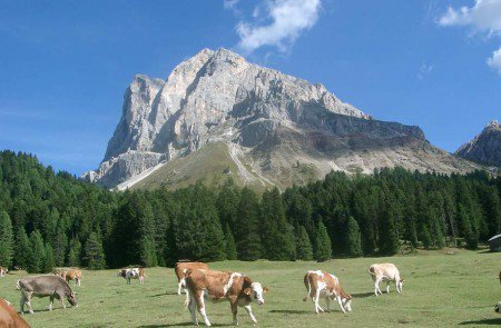 Zu den Gipfeln der Lüsner Alm