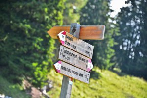 lueser-alm-wandern