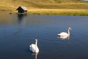 Bergsee